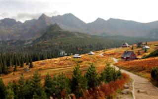 Mountain cabin forest tiltshift blurry - a scenic view of a mountain free wallpaper