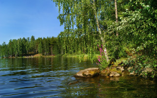 Lake tree rocks blue sky - akseli gallenkallela free wallpaper for desktop