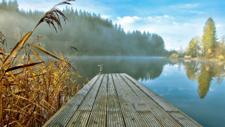 Lake foggy dock trees mountains - the foreground and a body of water free wallpaper for desktop