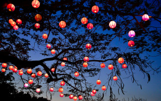 Glowing lanterns autumn night magic - lantern free wallpaper
