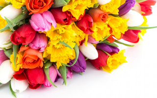 Colorful flower bouquet white background - a bouquet free wallpaper
