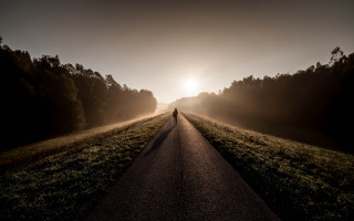 Person walking road field sunset - dawn free wallpaper for desktop