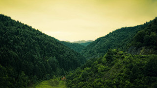 Train forest hillside valley nature - hillside free wallpaper