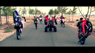 Motorcycle group ride road trees - the background and a person free wallpaper