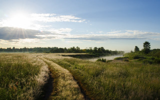 Dirt road field sun horizon 3 - a dirt road in a field free wallpaper