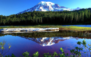 Mountain reflection lake nature forest - covered free wallpaper