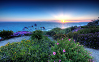 Ocean path flower sunset house - the cliff free wallpaper