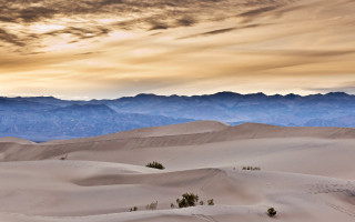 Desert mountains clouds trees ocean - betye saar free wallpaper for desktop