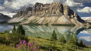 Mountain lake forest flower sky 2 - bob ross free wallpaper for desktop