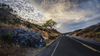 Road tree fence lake mountain - the side of the road free wallpaper for desktop
