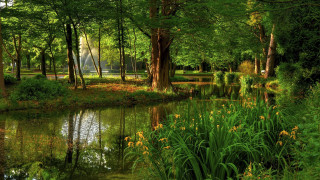 Pond trees grass fountain park - a park area free wallpaper for desktop