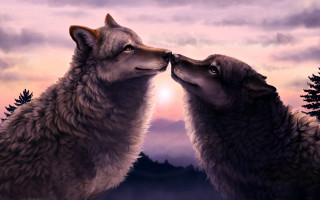 Wolf kissing sunset mountain fullmoon - two wolf free wallpaper