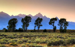 Sunset mountains trees lake forest - ansel adams free wallpaper for desktop