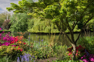 Pond flowers trees bridge summer - flower and trees free wallpaper