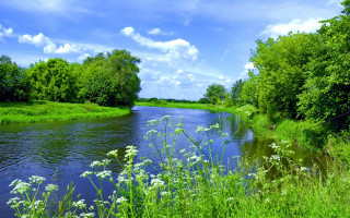 River forest sunny day impressionist - river free wallpaper