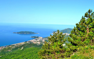 City water hill trees panorama - free summer wallpaper