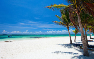 Beach palm trees boat blue - blue sky and clouds free wallpaper
