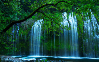 Waterfall tree river forest nature - the middle of a forest free wallpaper for desktop