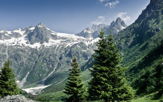 Mountain range snow peak forest - a snow free wallpaper