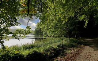 Lake path bridge trees nature - a bridge in the distance free wallpaper for desktop