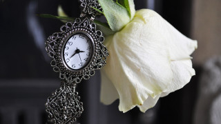 White flower clock wallchain aliceprin - side next free wallpaper