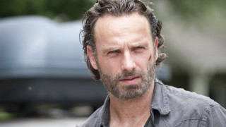 Bearded man gray shirt serious - a gray shirt free wallpaper