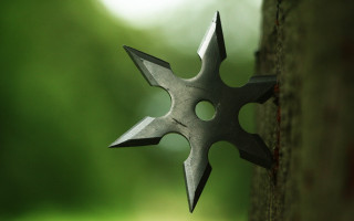 Metal star forest background sharp - sharp foccus ilustration free wallpaper for desktop