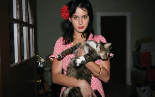 Woman cat indoor polaroid precisionism - a woman holding free wallpaper for desktop