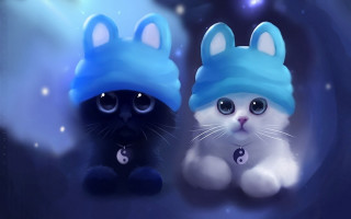 Two cats wearing hats blue - two cat free wallpaper