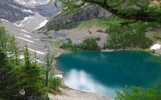Lake mountains trees snow nature - tree and mountains free wallpaper for desktop