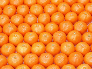 Oranges pile illusion halloween pumpkin - a group of oranges free wallpaper