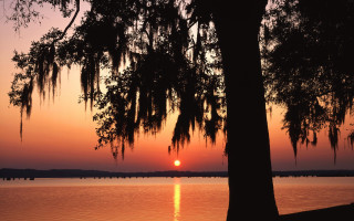 Sunset lake tree bridge boats - charles ragland bunnell free wallpaper