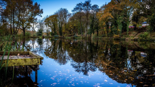 Small boat water dock leaves - a house in the background free wallpaper