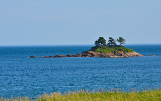 Small island trees ocean blue 3 - the middle of the ocean free wallpaper
