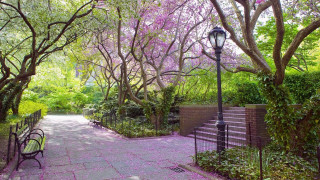 Enchanted park bench lamp post - a walkway free wallpaper
