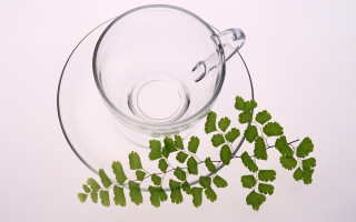 Glass bowl plant table ivy - a glass bowl free wallpaper