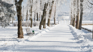 Snowy path benches trees white - arlington nelson lindenmuth free wallpaper