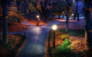 Park pathway night lights autumn - the ground and trees free wallpaper for desktop