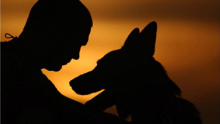 Silhouette dog lap sunset romantic - the sun setting behind them free wallpaper