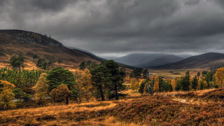 Autumn mountain field cloudy sky - rich moody colour free wallpaper