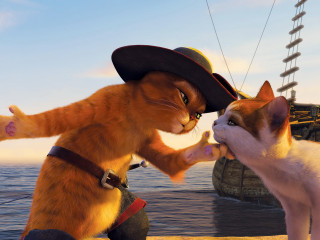Cat dog pirate ship furry - a cat and a dog free wallpaper