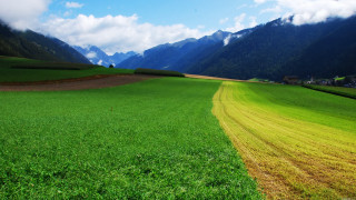 Green field yellow strip mountains - a mountain range in the background free wallpaper