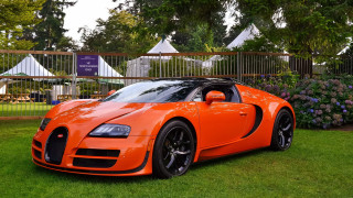 Bright orange bugatti fence flowers - a wooden fence free wallpaper