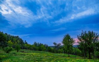 Cloudy sky field trees flowers - david brewster free wallpaper for desktop