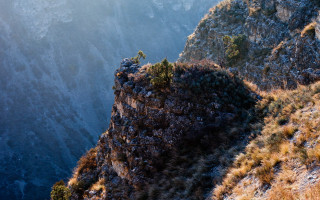 Mountain cliff tree sky sunset - steep free wallpaper