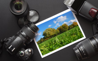 Camera field trees grass lens - medium free wallpaper