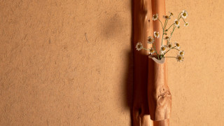 Vase flowers wall wooden stick - a vase free wallpaper
