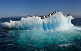 Penguins iceberg ocean blue sky - a group of penguins free wallpaper