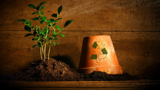 Plant dirt trash recycle solarpunk - a trash free wallpaper