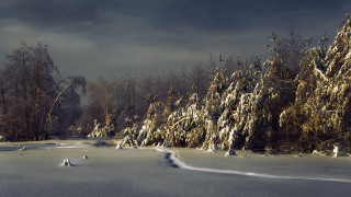Snowy landscape trees path mountain - chris friel free wallpaper